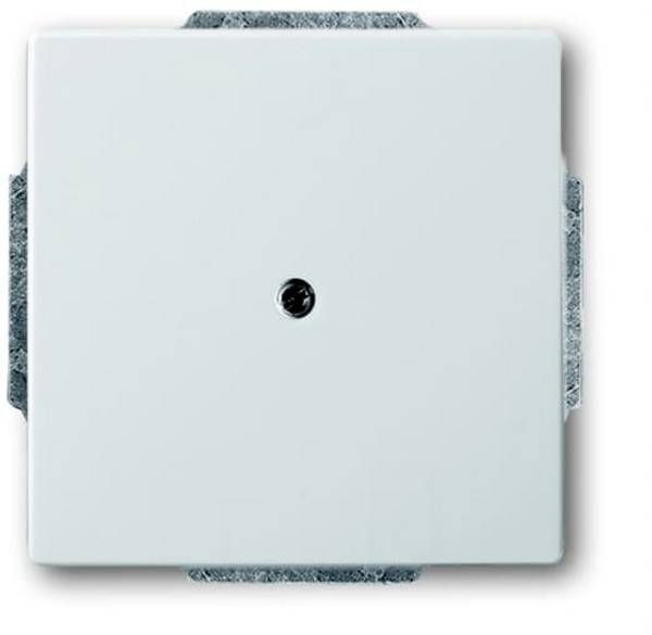 ABB  kryt záslepka  nerezová ocel 2CKA001710A3751 1 ks