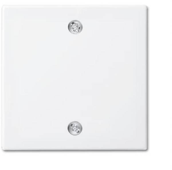Busch-Jaeger  kryt tažný spínač  Busch-balance SI čistě bílá (RAL 9010), bílá 2CKA001753A0224  1 ks