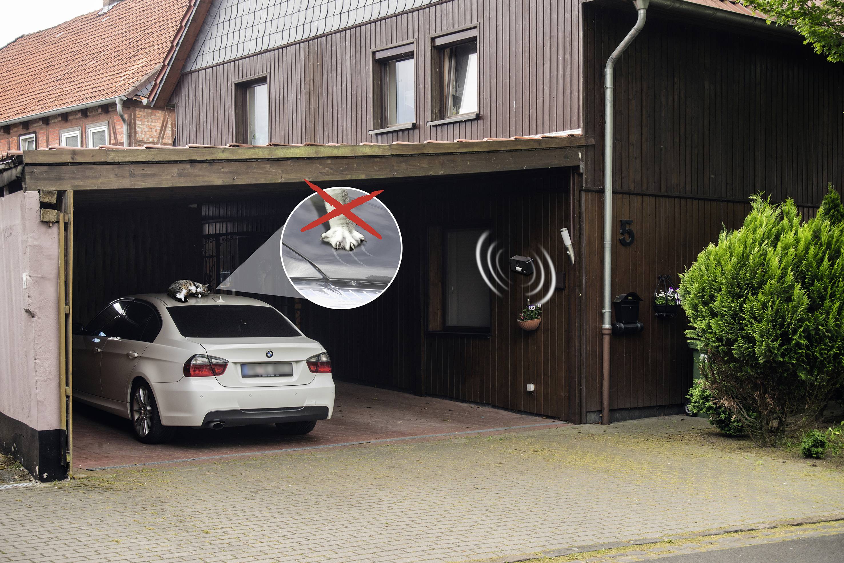 Bílé auto je zaparkované pod přístřeškem. Zvětšený obrázek ukazuje racka, který kálí na střechu auta, označený červeným křížkem.