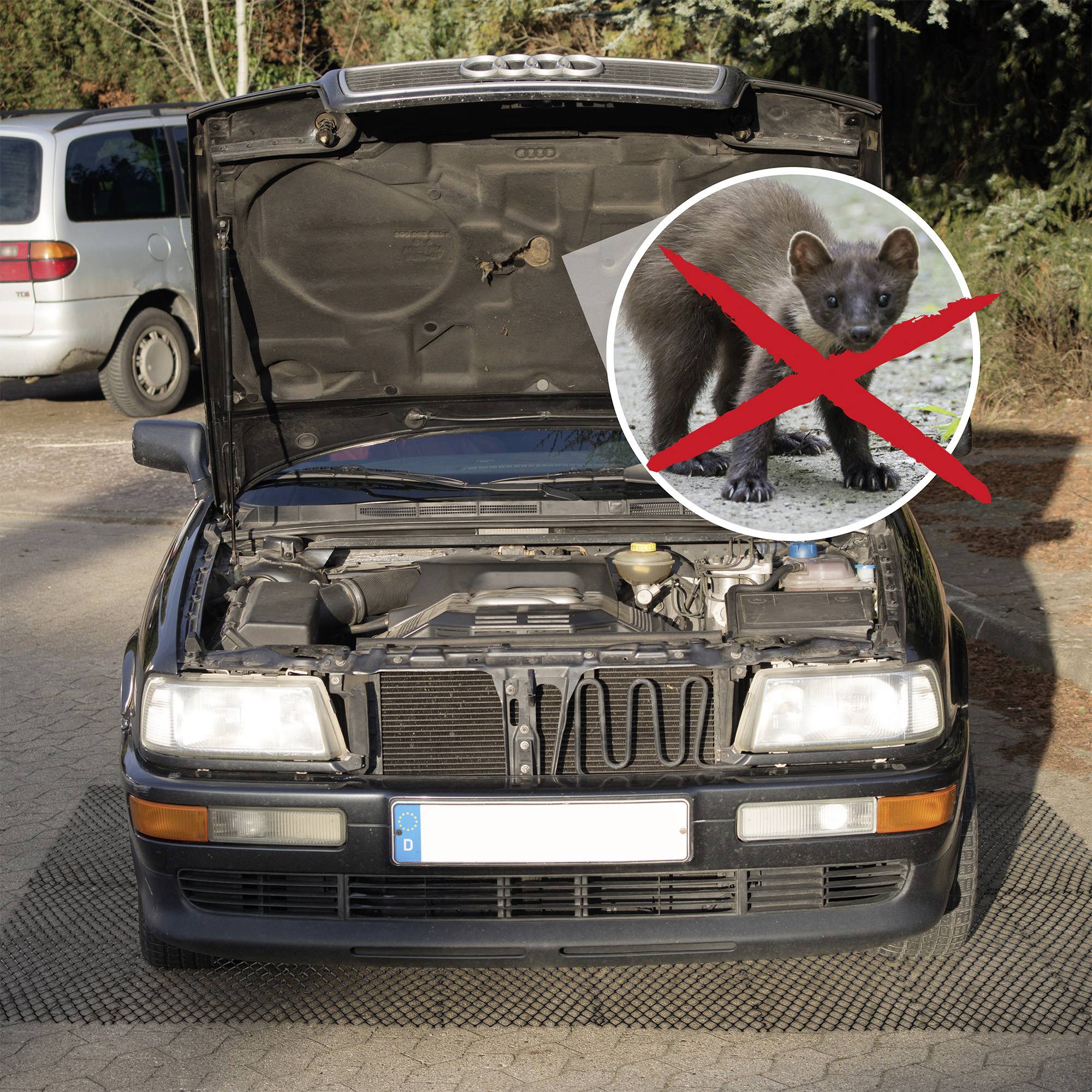 Otevřený motorový prostor automobilu s přeškrtnutým obrázkem kuny. Varuje před poškozením automobilu kunami.
