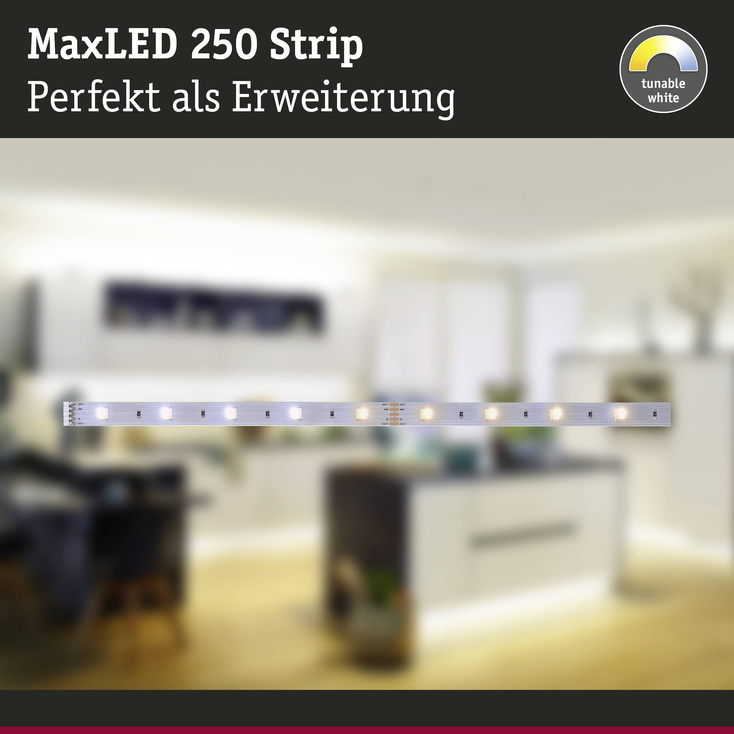 LED světelná lišta v moderním obývacím pokoji; Text nahoře: 'MaxLED 250 pásek - Ideální rozšíření'