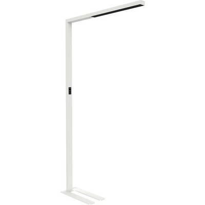 Bílá stojací lampa v minimalistickém designu, s přímočarou linií, obdélníkovým stínidlem, vhodná do moderních interiérů.