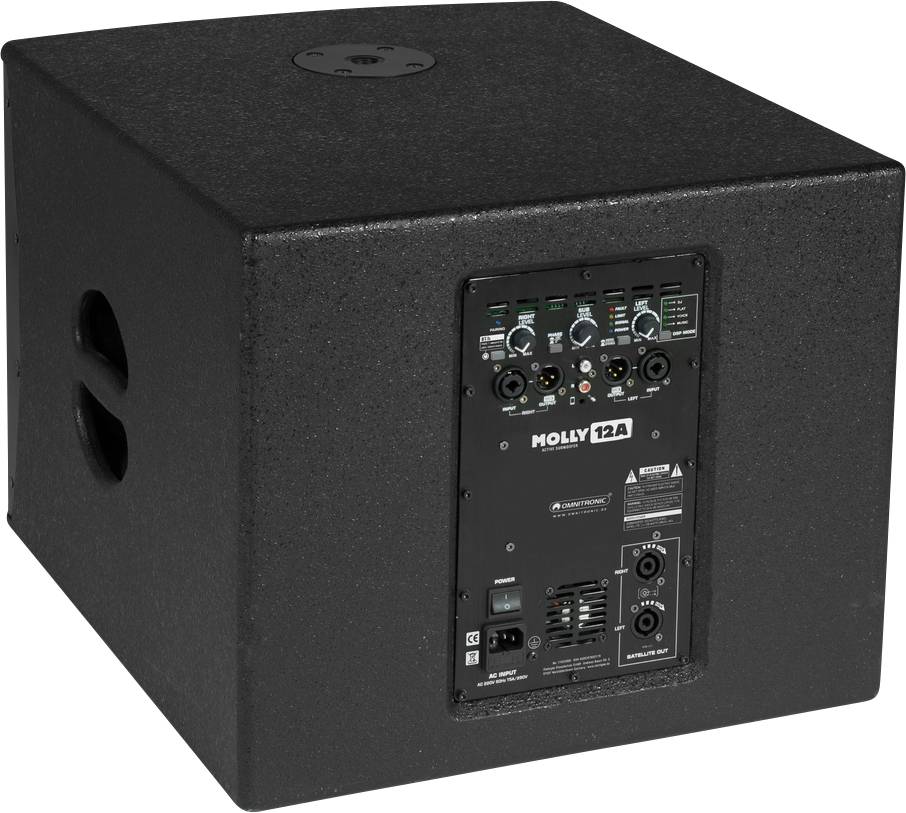 Černý reproduktorový subwoofer, model 'Molly 12A', s různými audio konektory a ovládacími prvky na zadní straně.