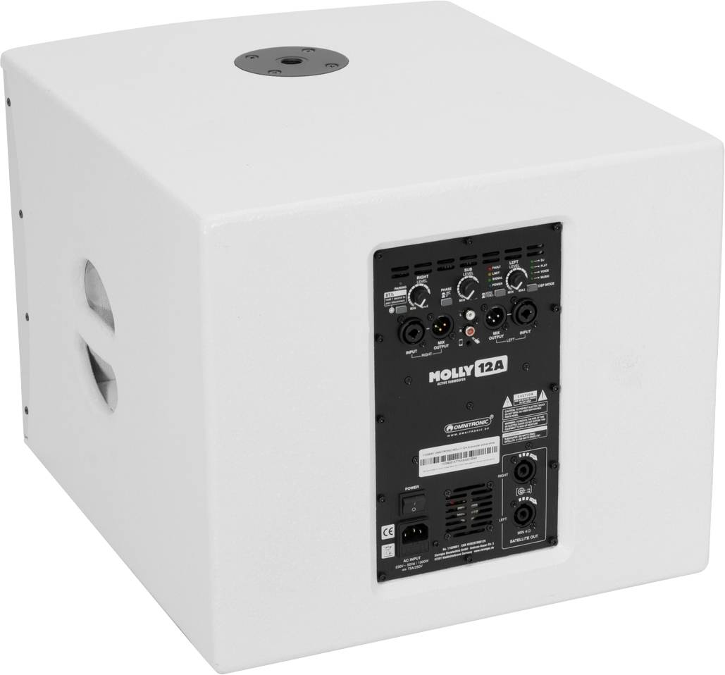 Bílý subwoofer reproduktoru s několika vstupy a ovládacími prvky na zadní straně, modelové číslo 'MOLLY 12A'.