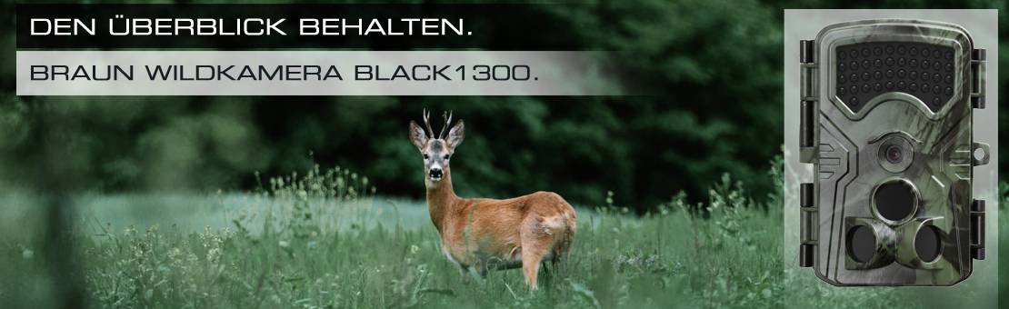 Srnec stojí v zeleném lese. Vpravo na obrázku je umístěna fotopast BRAUN Black1300. Text: 'Mít přehled.'