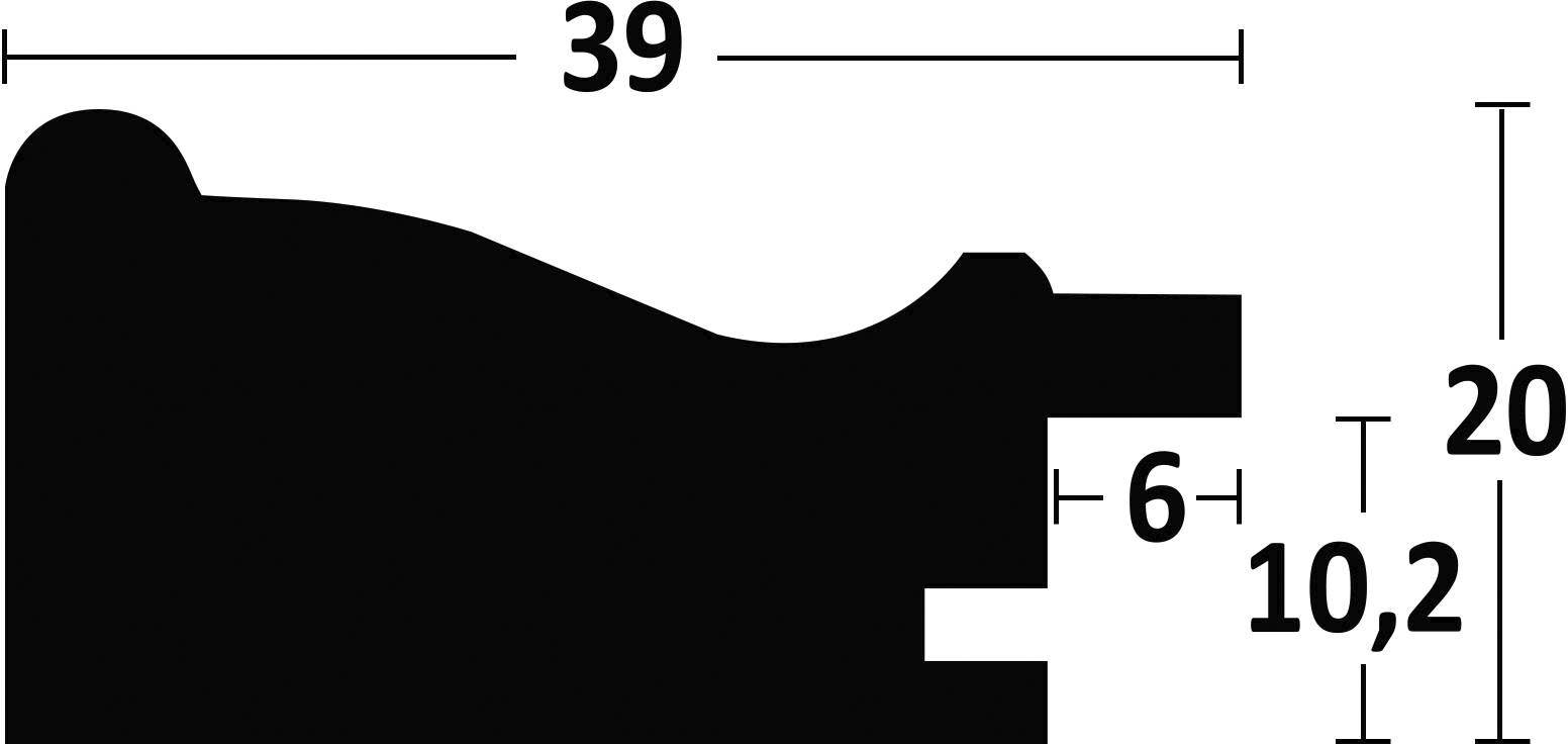 Příčný profil lišty s rozměry: šířka 39 mm, výška 20 mm, menší výstupek 6 mm uprostřed, vertikální vyvýšení 10,2 mm.