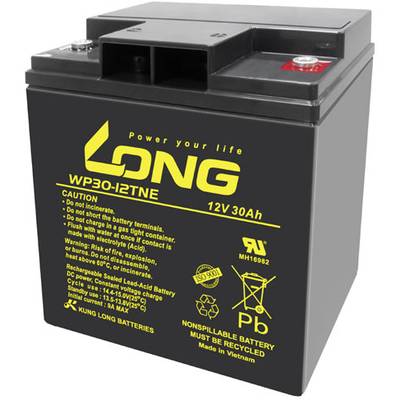 Černá baterie značky 'Long', model WP30-12TNE, 12V, 30Ah. Výstražné upozornění na straně: Nespalovat ani nerozebírat.