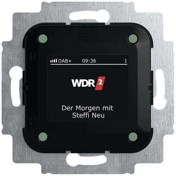 Busch-Jaeger  vestavný rádio    vícebarevná 2CKA008200A0275  1 ks