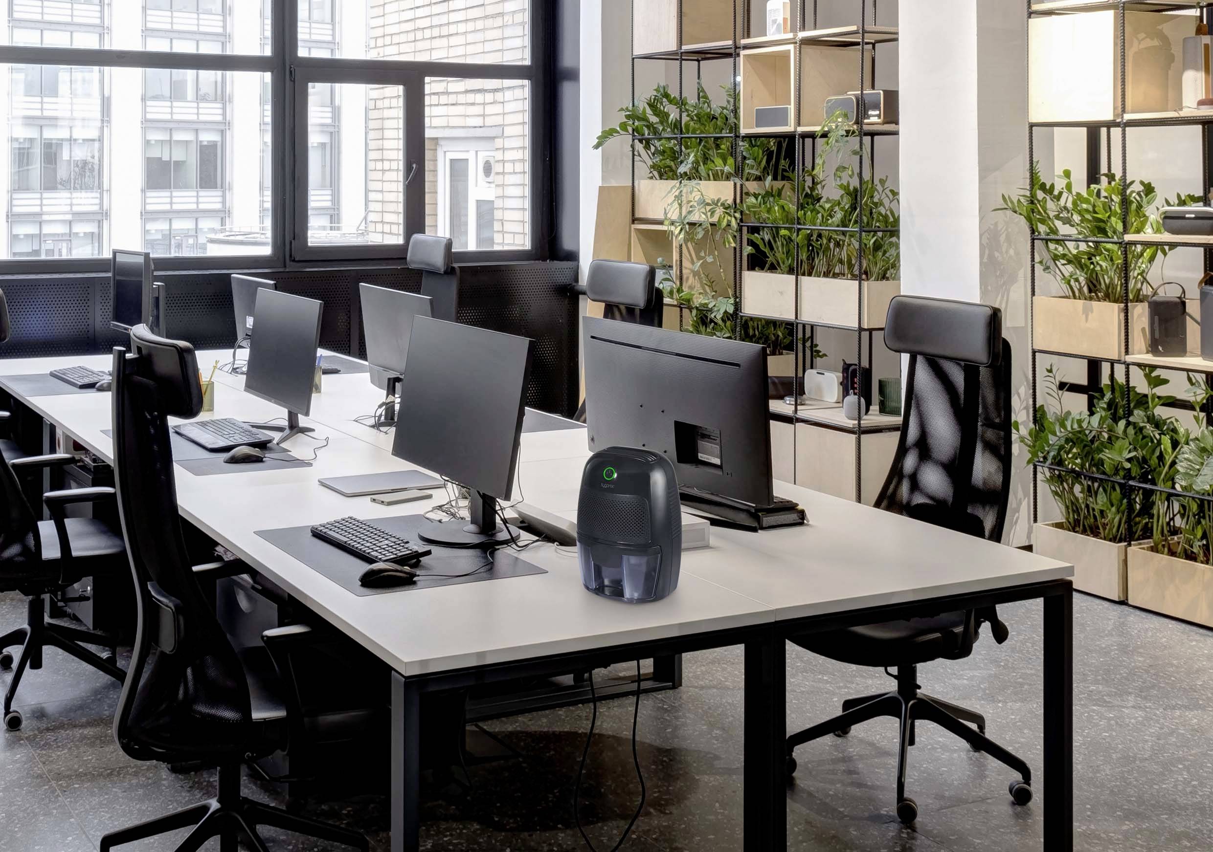 Moderní kancelářské prostředí s šesti pracovními stoly, počítači a ergonomickými židlemi. Rostlinná dekorace odděluje prostor.