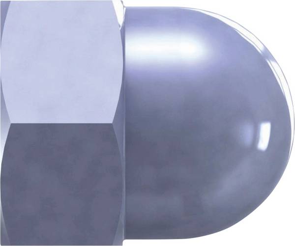 Reisser  31786 kloboučková matice M10        50 ks