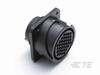 TE Connectivity TE AMP Signal Standard Y5015-000000006891 1 ks