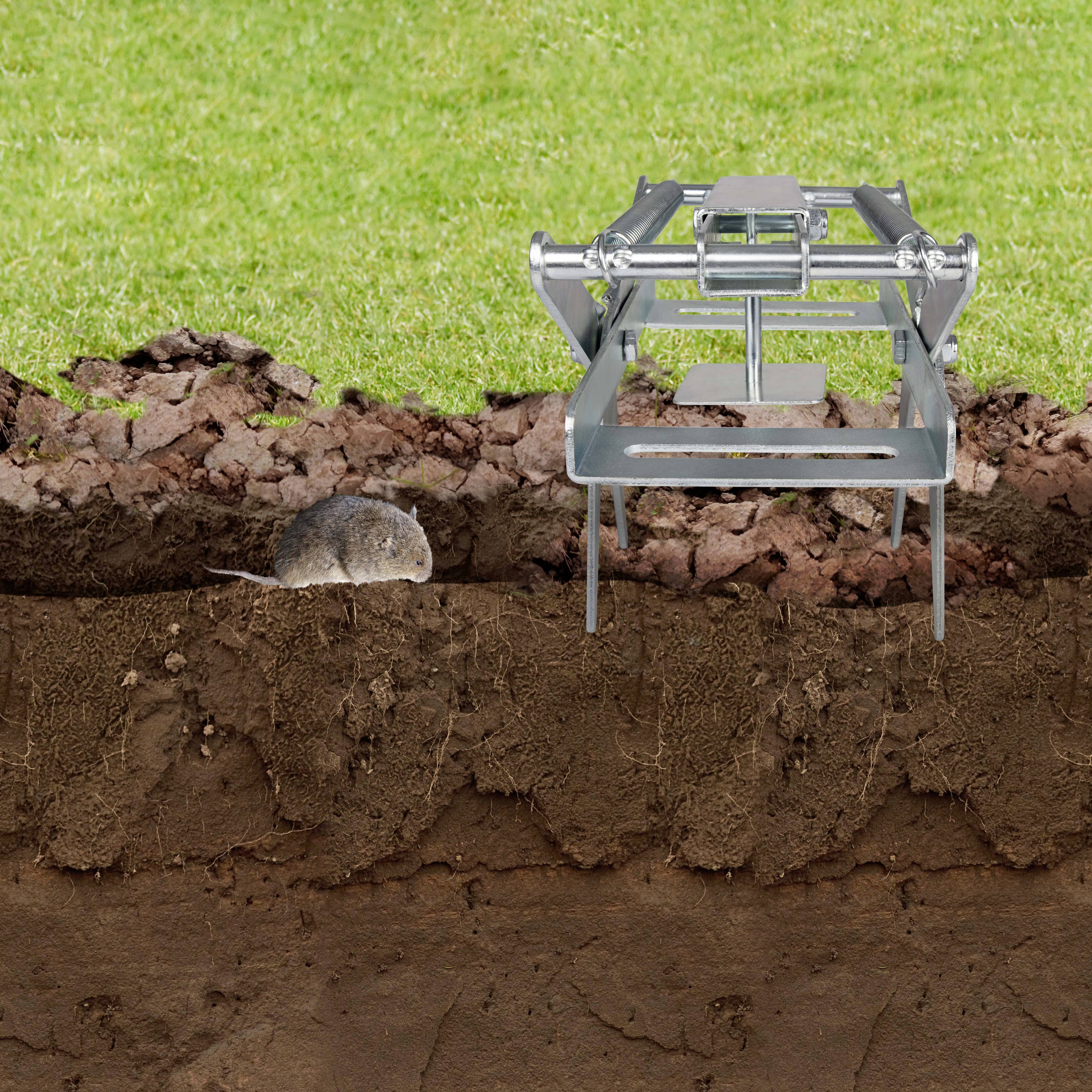 Kovadlina na hryzce je instalována pod zemí v tunelové soustavě. Vlevo je v tunelu vidět hryzec.