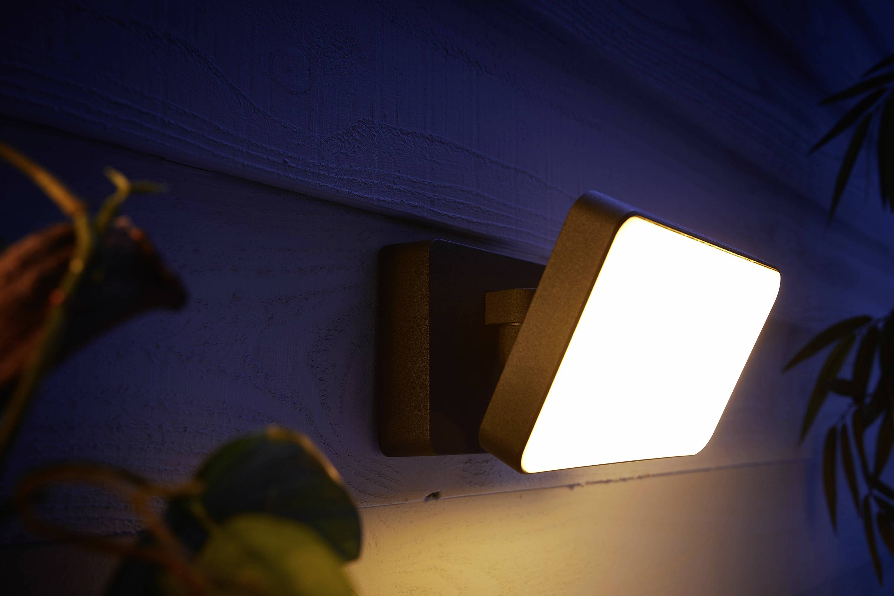 Nástěnná lampa vyzařuje teplé světlo, osvětluje stěnu a okolní rostliny v pozadí.