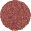 PFERD TOOLS CD 20 A 120 42750212 brusný list Zrnitost 120 (Ø) 20 mm 100 ks