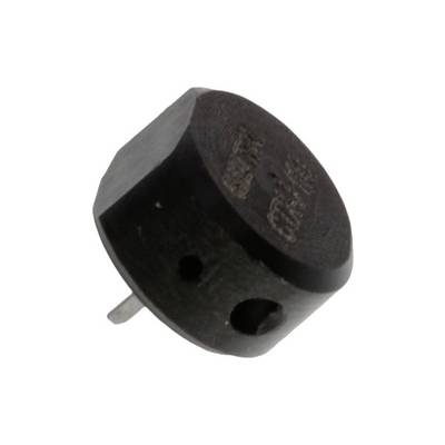 Černý, válcovitý elektronický bzučák se dvěma připojovacími kolíky, určený pro použití v elektronických zařízeních.