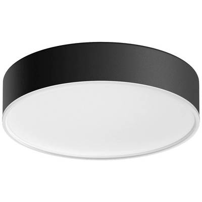 Kulaté stropní svítidlo v černobílém provedení s jednoduchým, moderním designem. Vhodné pro různé interiérové koncepce.