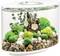 Oválný akvárium s zelenými mechové kuličkami, bílými kameny a dekorativními rostlinami, s centrálním kusem naplaveného dřeva zdobeným bílými květy.