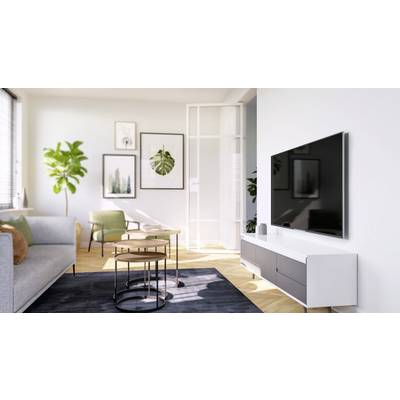 Prostorný obývací pokoj s moderním designem; bílé stěny, velké pokojové rostliny, šedá pohovka, plochý televizor, světlý dřevěný nábytek.