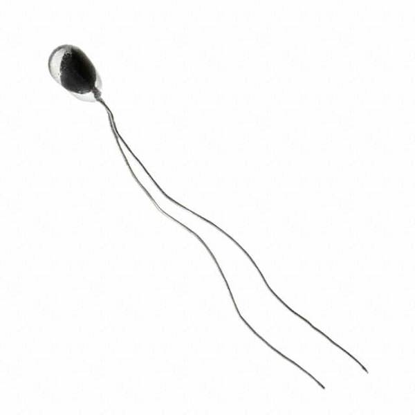 Honeywell SPS 112-402ECG-B02 teplotní čidlo