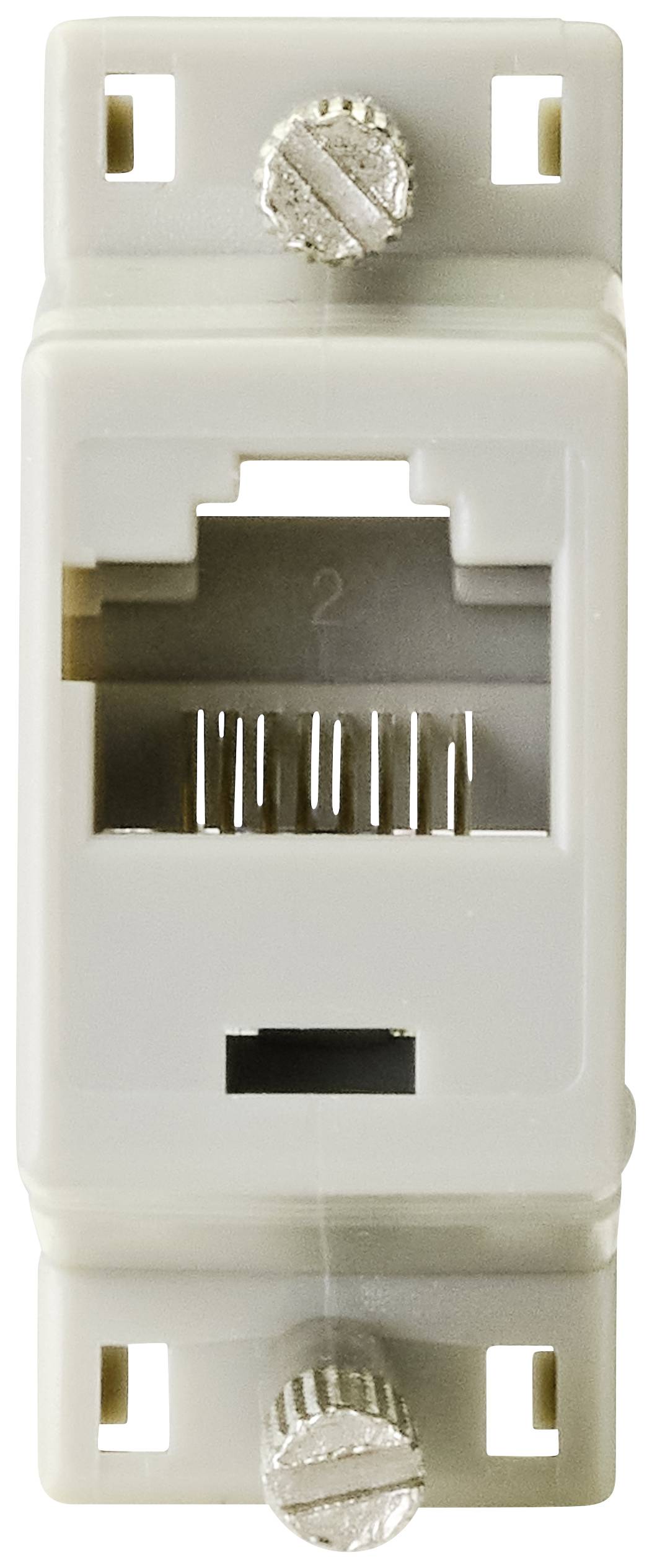 Bílá, obdélníková zásuvka s RJ45 síťovou přípojkou a dvěma šrouby nahoře a dole pro upevnění na stěnu.