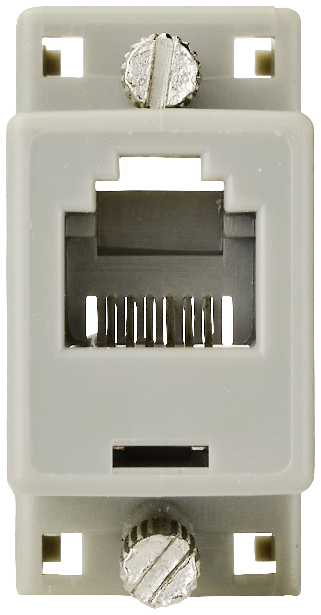 Síťové rozhraní RJ45 na světle šedém montážním panelu s šroubovacími úchyty nahoře a dole.