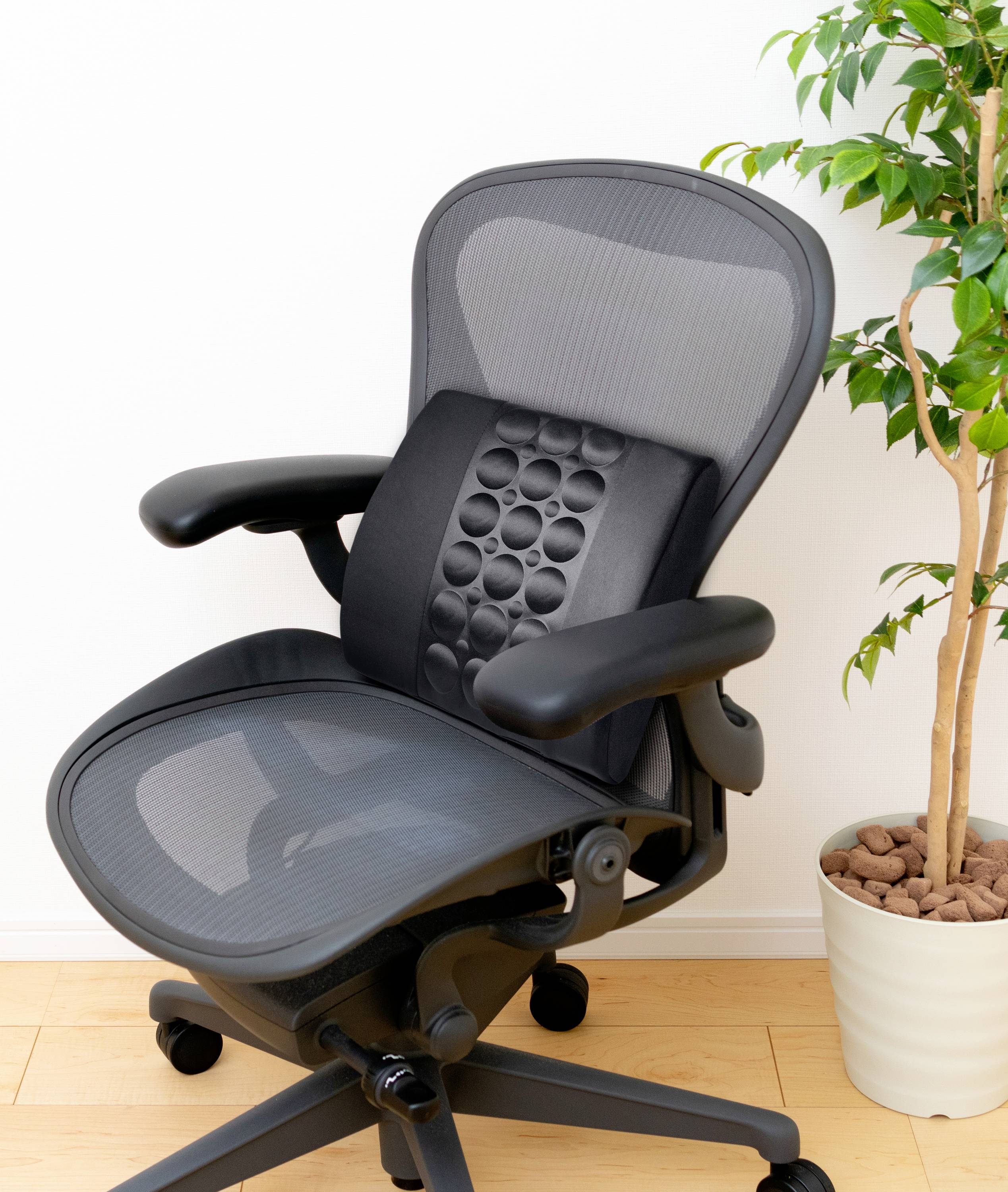 Kancelářská židle s ergonomickým designem a dodatečnou bederní podporou. Vedle ní vpravo stojí zelená pokojová rostlina v bílém květináči.