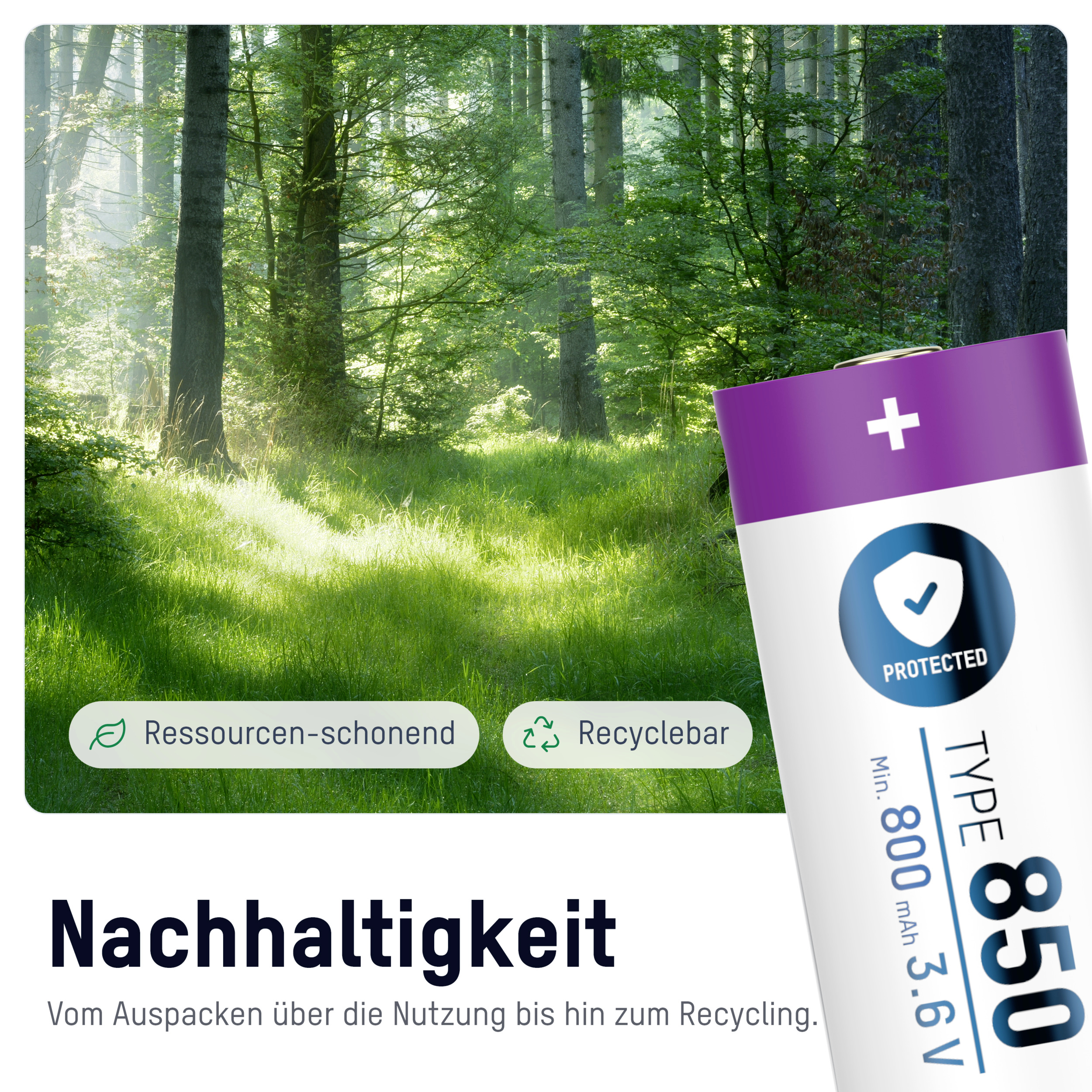 Les s slunečním světlem. Text: 'Šetrné k zdrojům, recyklovatelné'. Infotext: 'Udržitelnost - Od rozbalení přes použití až po recyklaci.'