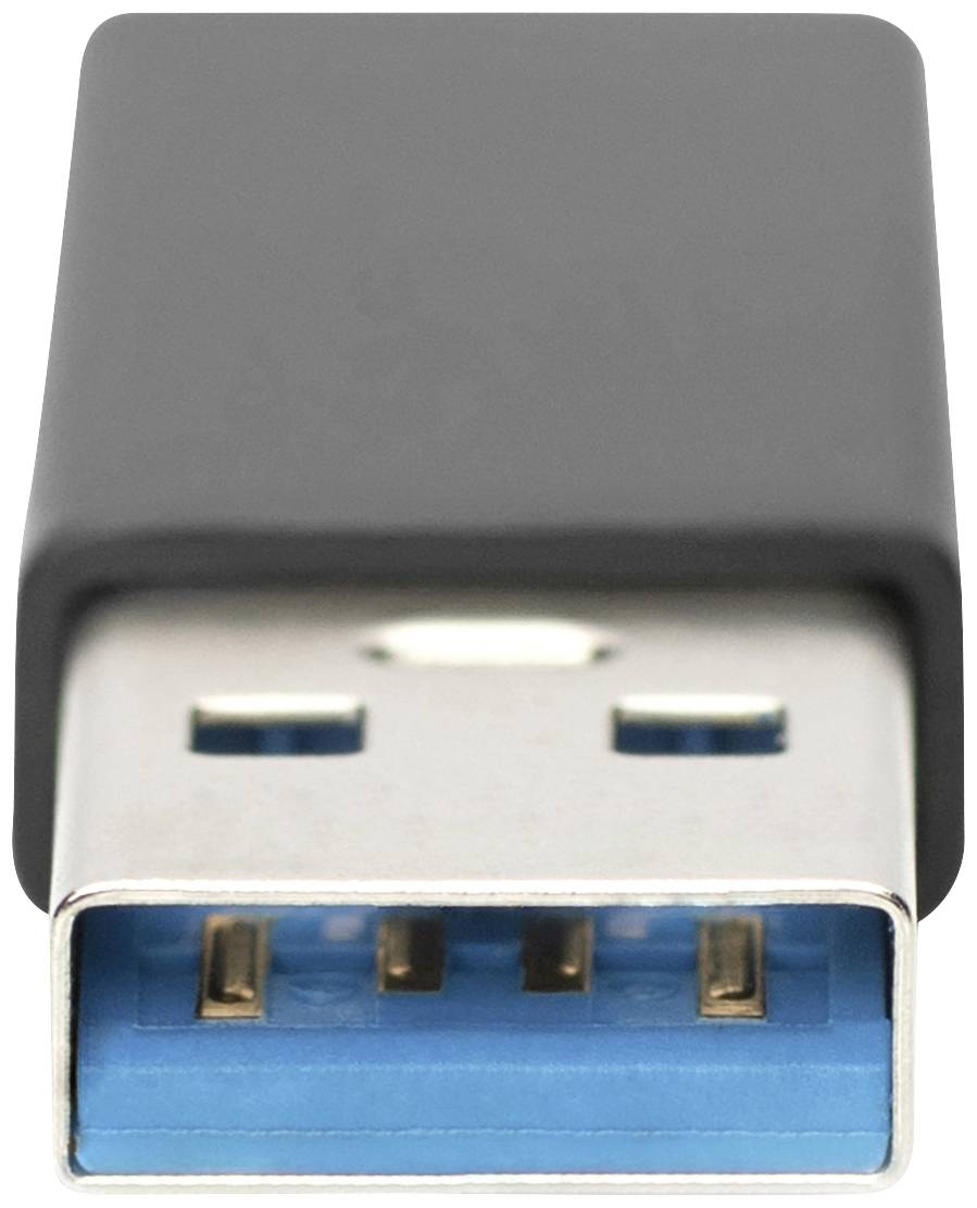 Detailní záběr USB konektoru se stříbrným konektorem a modrým vnitřním profilem.