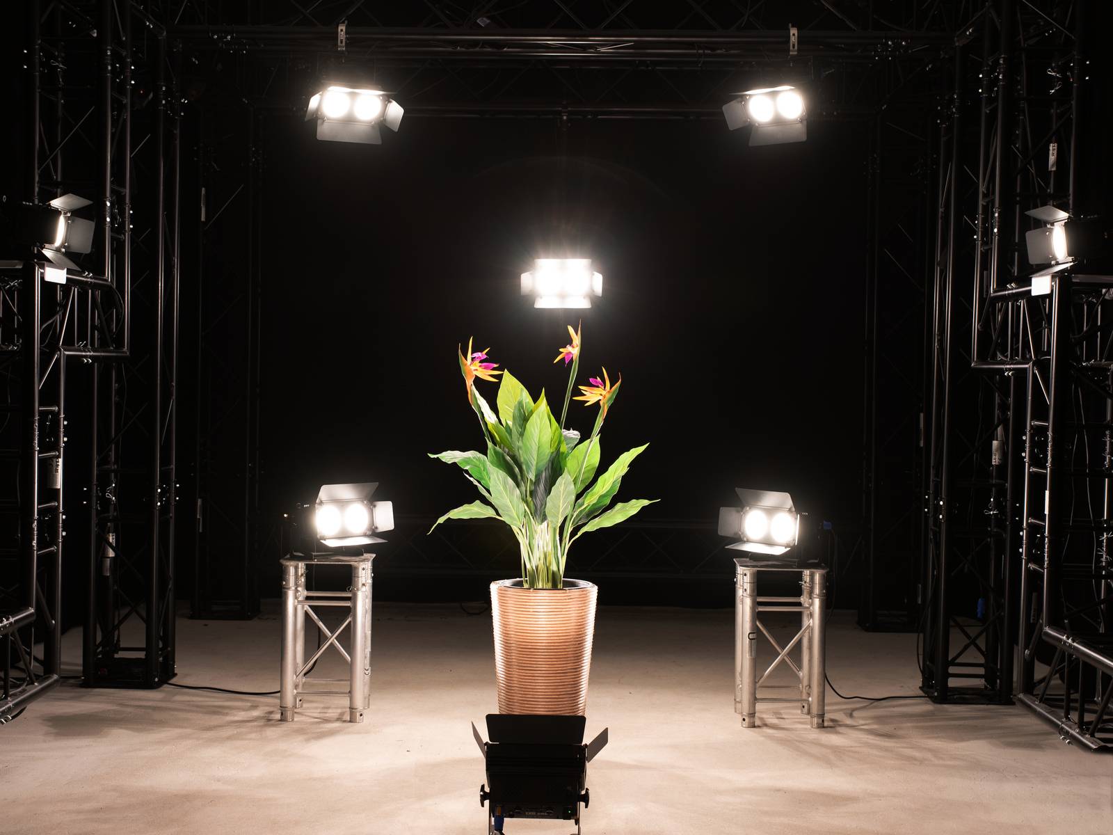 Rostlina s barevnými květy v kovovém květináči, obklopená reflektory, stojí na podstavci v tmavém studiu.