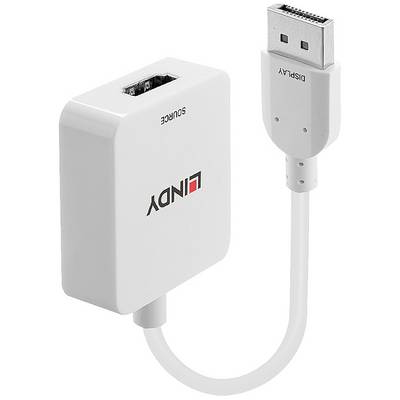 Adaptérový kabel s konektorem DisplayPort a zdířkou HDMI pro připojení videozařízení.