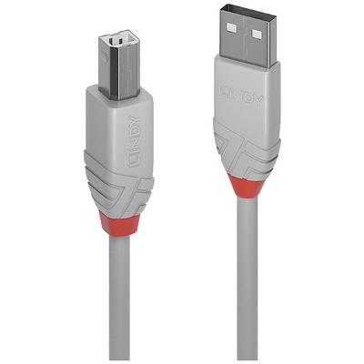 Dva šedé USB konektory s červenými akcenty, jeden s USB-A konektorem, druhý s mini-USB konektorem.