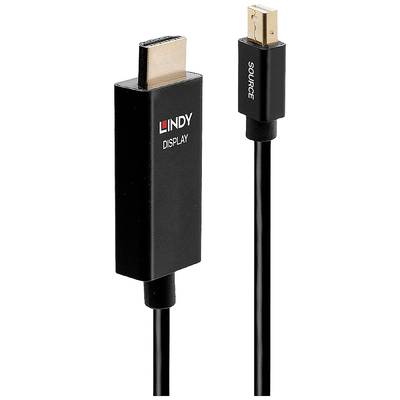 Černý kabel s konektory HDMI a Mini-DisplayPort. Jeden konektor je označen nápisem 'DISPLAY', druhý nápisem 'SOURCE'.