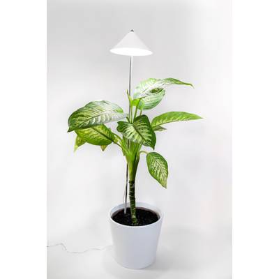 Venso LED lampa pro růst rostlin SUNLiTE XL 25 W Weiß  230 V pevně vestavěné LED 25 W  neutrální bílá   1 ks