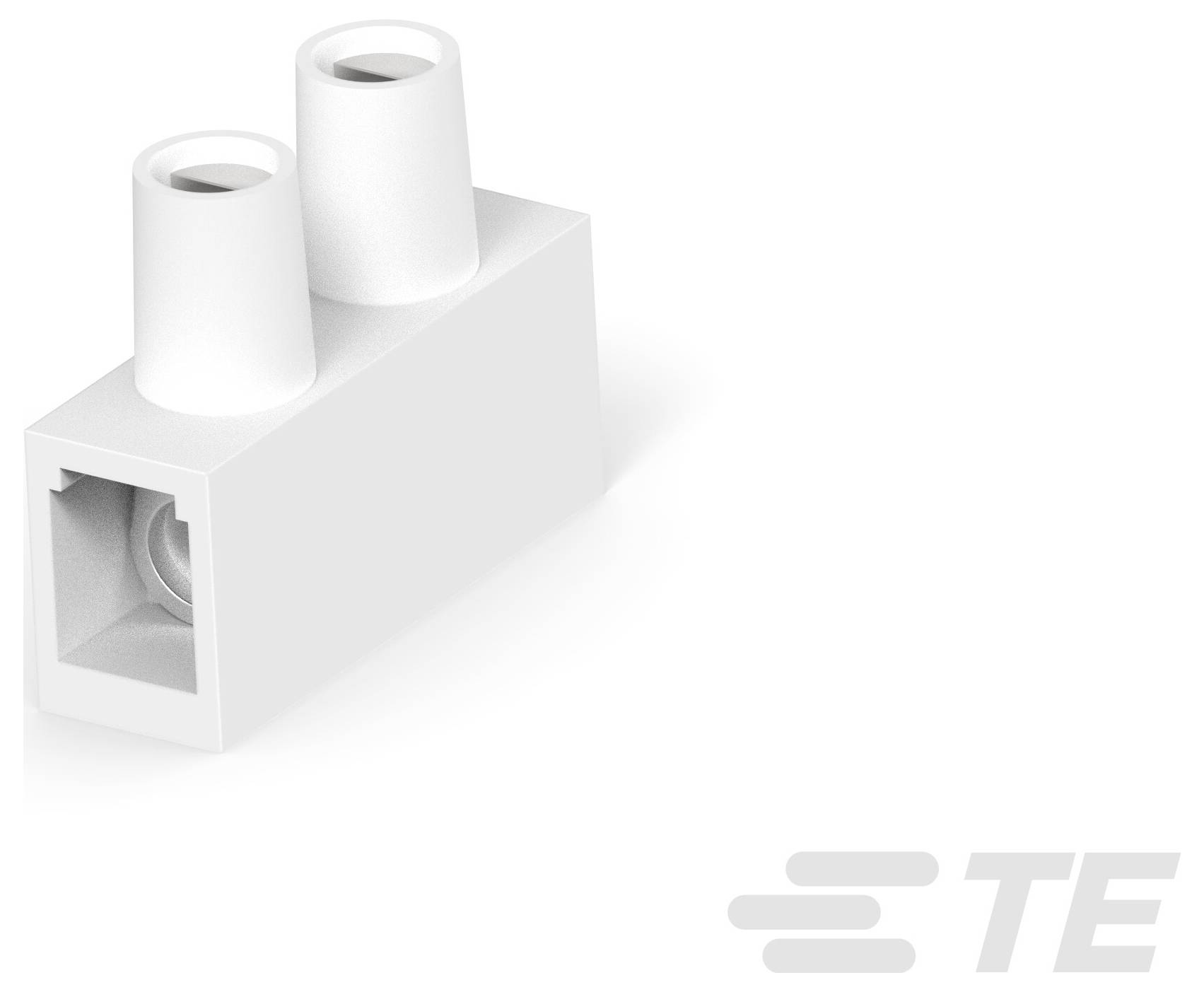 Bílý elektrický svorkovnicový blok se dvěma body připojení, s logem TE v pravém dolním rohu.