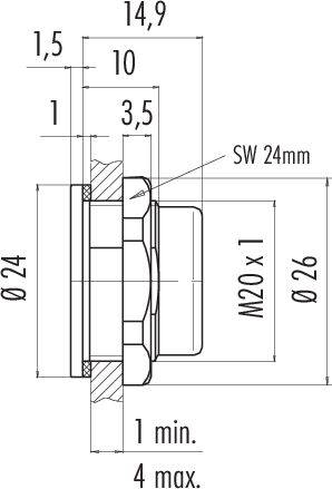 Technický výkres šroubového spoje s rozměry: průměr 24 mm, velikost závitu M20 x 1, rozpětí klíče 24 mm, maximální délka 4 mm.