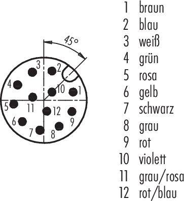 Schématický plán ukazuje kulatou zástrčku s 12 očíslovanými kolíky, kterým jsou přiřazeny barvy, například hnědá pro 1, modrá pro 2 atd. Orientační šipka je umístěna pod úhlem 45°.