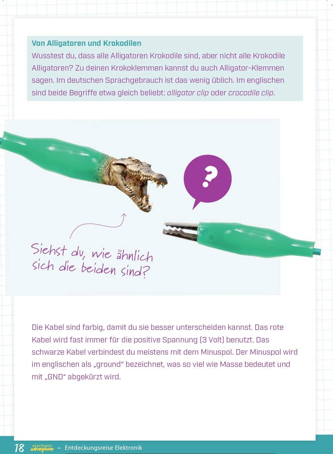 O aligátorech a krokodilech - Obrázek ukazuje krokodilí tlamu a krokodilí svorku. Text se ptá: "Vidíš, jak jsou si podobné?"
