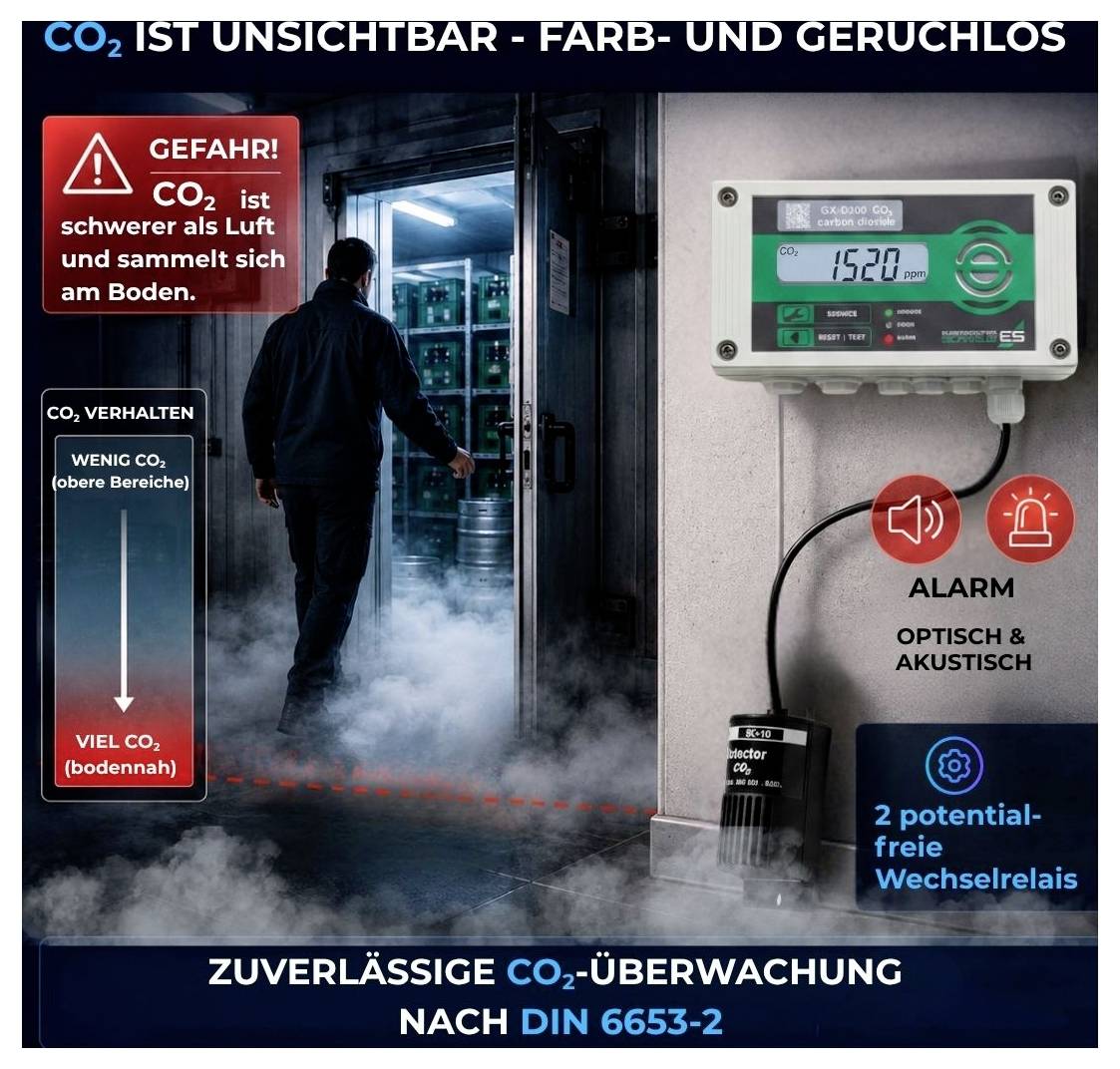 Schabus GX-D500, 300267 detektor oxidu uhličitého s externím senzorem 230 V, detekce oxidu uhličitého (CO2)-2