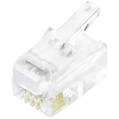 Jeden průhledný RJ45 konektor pro ethernetové připojení, na němž jsou viditelné zlaté kontakty a zajišťovací klip.