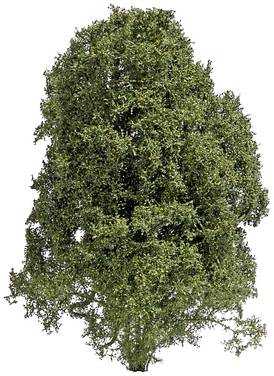 Busch 3589 kařík léto  zelená