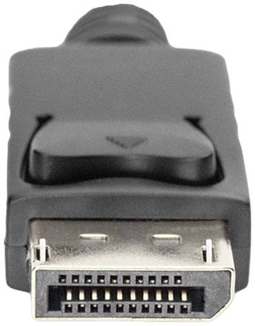 Černý DisplayPort konektor z plastu s viditelnými kontakty na přední straně.