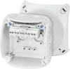 Hensel 62000043 rozbočovací krabice (d x š x v) 93 x 93 x 62 mm šedá IP66 / IP67 1 ks
