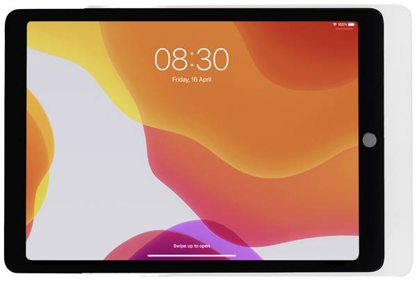 Displine Dame Wall Home držák tabletu na zeď Apple iPad 10.2 (7./8./9. Gen.) 25,9 cm (10,2")