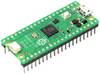 Raspberry Pi® Pico H mikrokontrolér RP-PICO-H