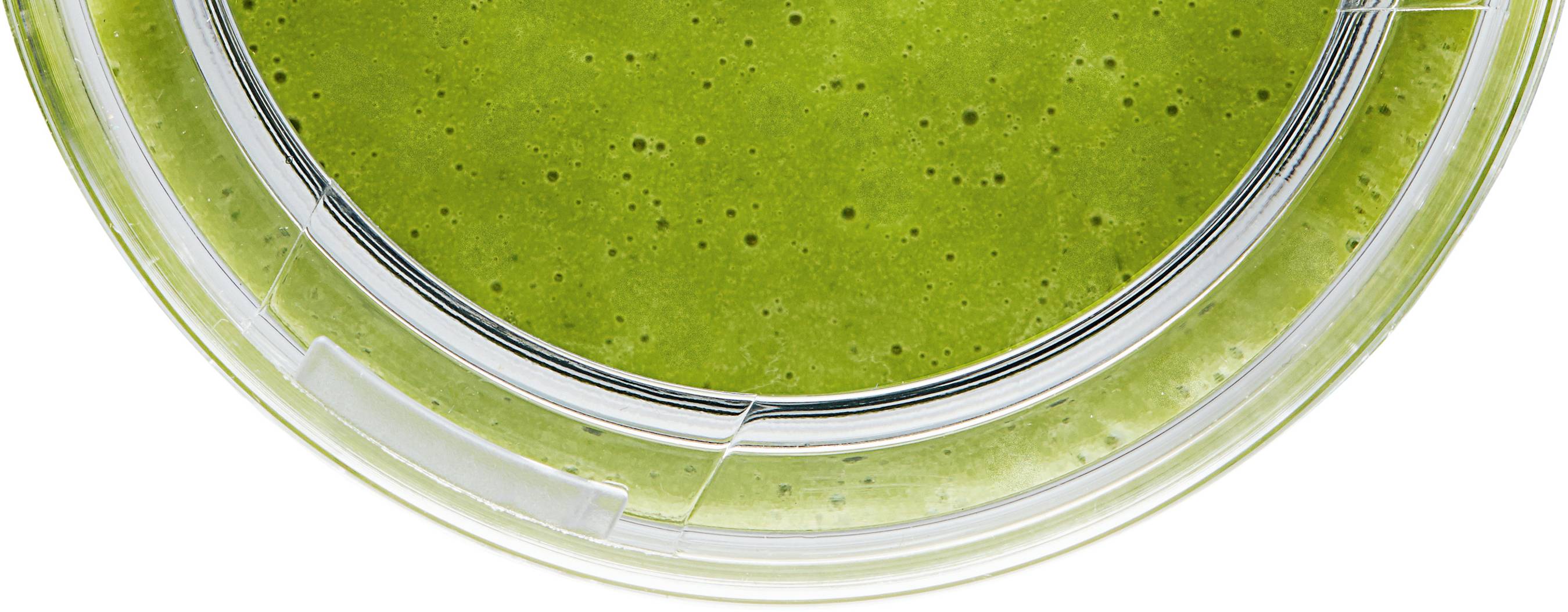 Zelené smoothie v kulaté plastové misce pohledem shora.