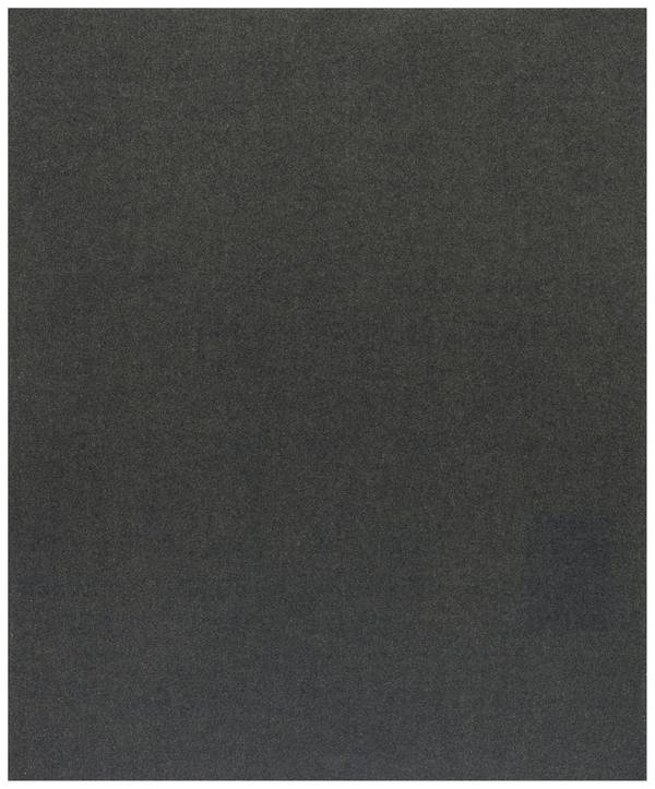 Bosch Accessories C355 2608608H65 brusný list  Zrnitost 240  (š x v) 230 mm x 280 mm 1 ks