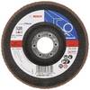 Bosch Accessories 2608607347 X551 vějířovitý brusný kotouč Průměr 125 mm Ø otvoru 22.33 mm Zrnitost 120 ocel 1 ks