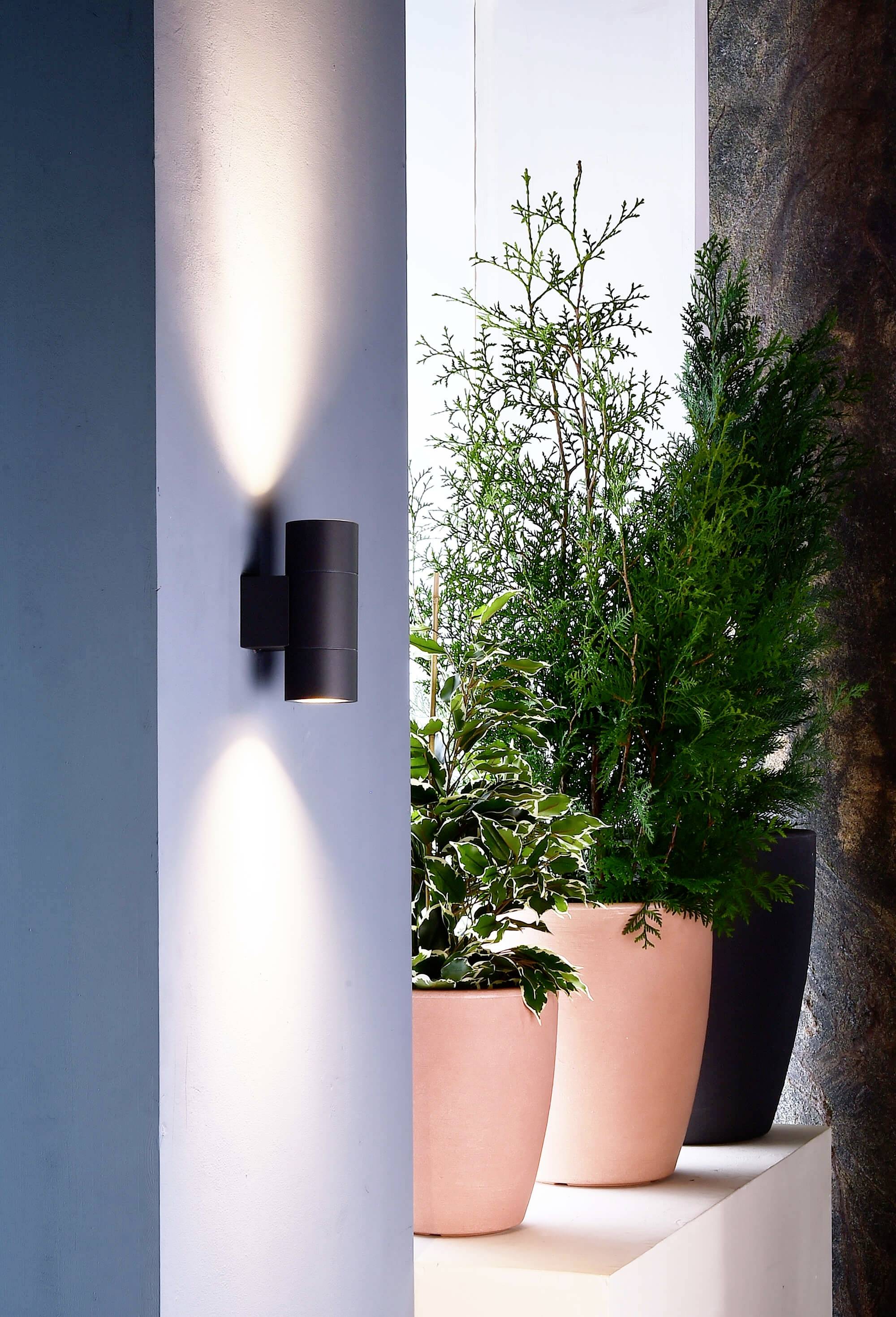 Černá nástěnná lampa vyzařuje světlo nahoru a dolů. Vedle ní stojí tři rostliny v různě velkých květináčích na bílém podstavci.