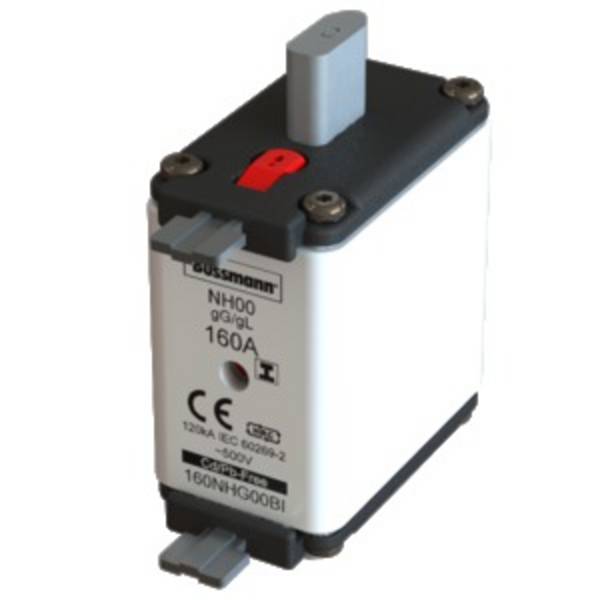 Eaton 160NHG00BI NH pojistka s mechanickým ukazatelem zajištění Vhodné pro (pojistky) velikost pojistky 000 - 4 Velikost pojistky = 00  160 A  500 V 3 ks