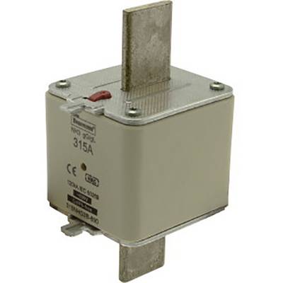 Obdélníková pojistka vysokého výkonu s nápisem '315A', vhodná pro elektrické aplikace k ochraně elektrického obvodu.